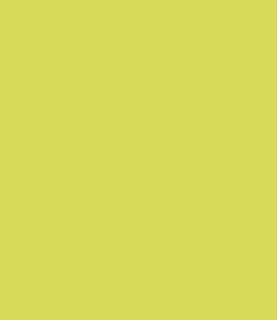 13-0643 TCX Yellow Plum