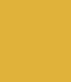 13-0757 TCX Calendula