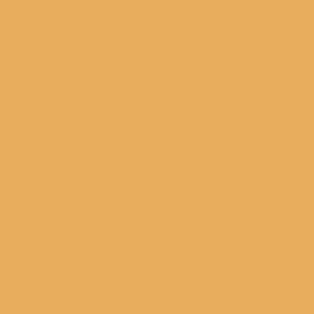 13-0946 TCX Jurassic Gold