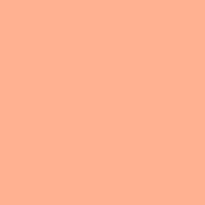 14-1440_TCX DUAL Perfection Peach