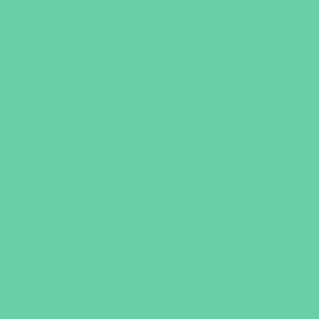 14-5828_TCX DUAL Breezy Green