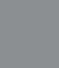 16-3917 TCX Chiseled Stone