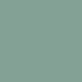 16-5907 TPG Granite Green