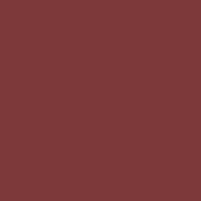 19-1536 TCX Red Pear