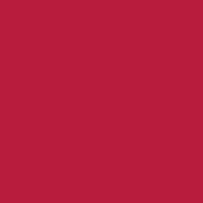 18-1759 TCX Jalapeño Red