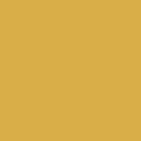 14-0952 TCX Spicy Mustard