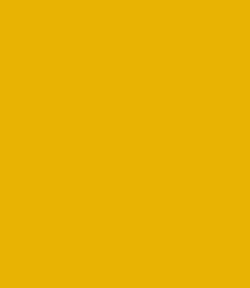 14-0958 TCX Bumblebee