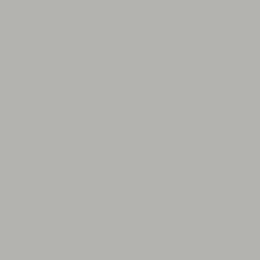 14-4703 TSX Gray Day