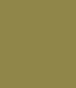 16-0634 TCX Evergreen Sprig